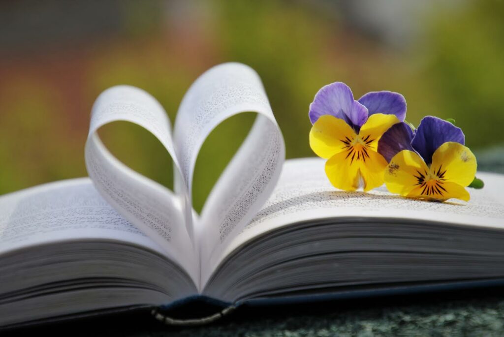 Photos d'un livre ouvert, qui forme un cœur avec ses pages